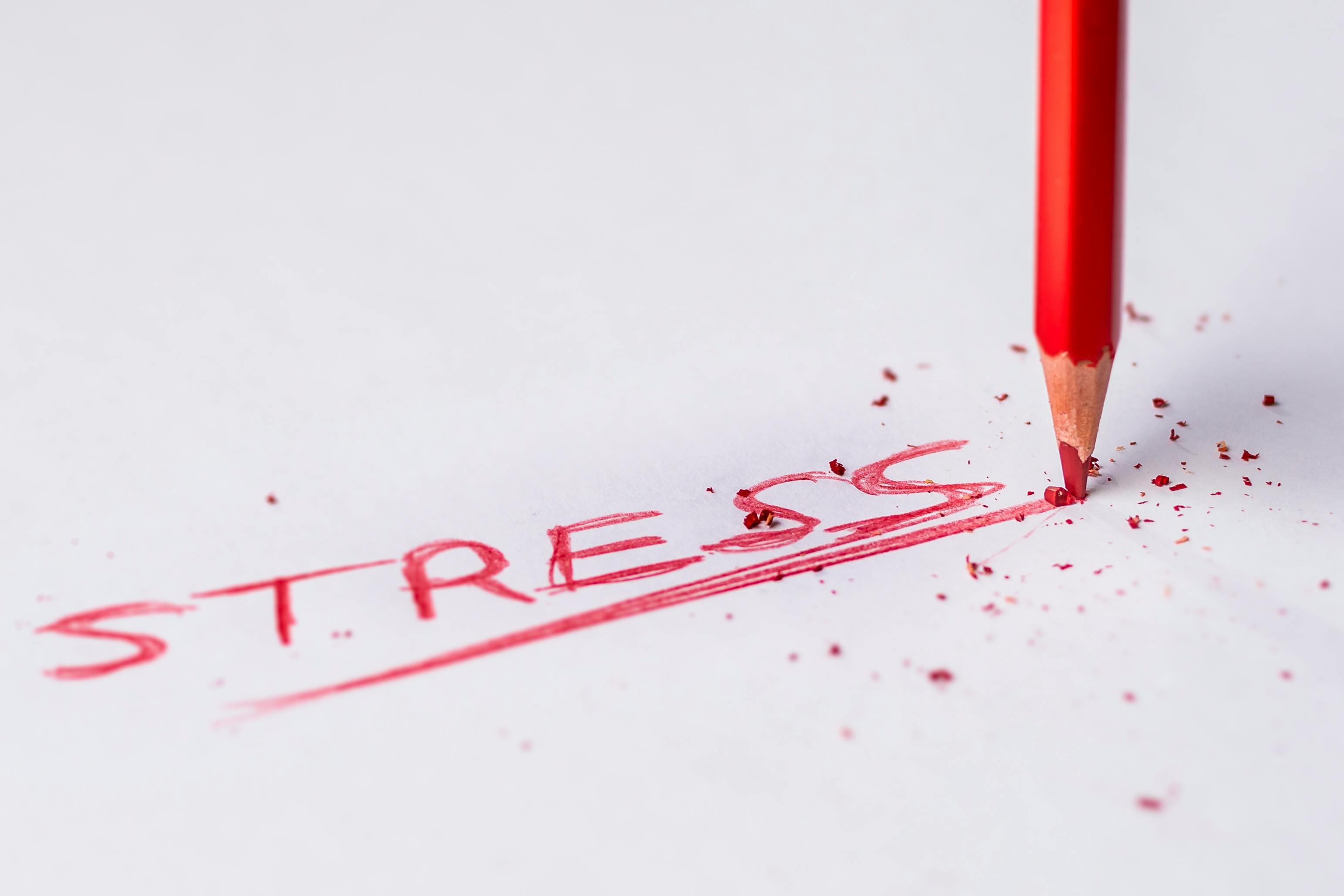 Stress and Anxiety Meditation Online Workshop